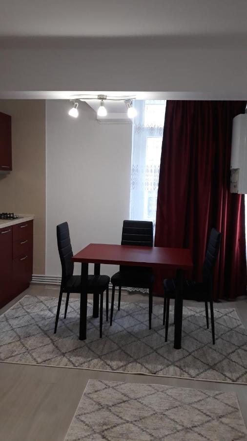 Irvin Apartament Iasi Exterior foto