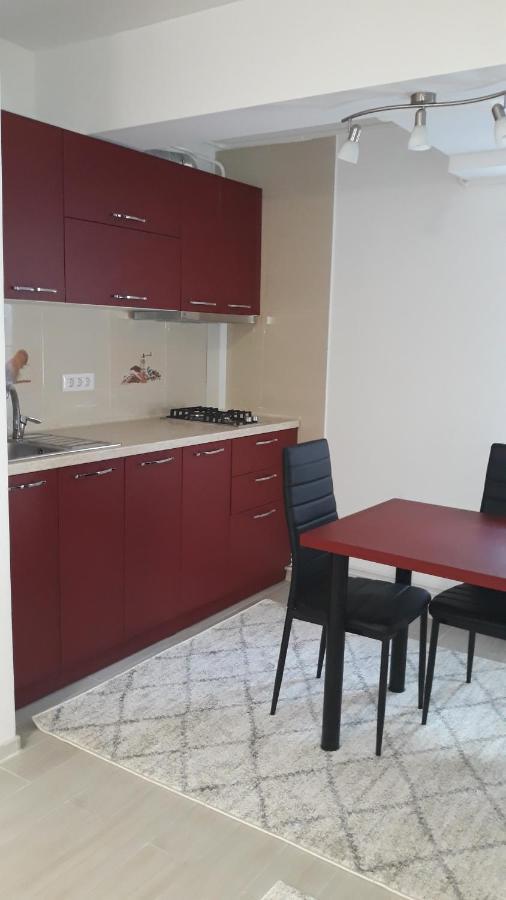 Irvin Apartament Iasi Exterior foto